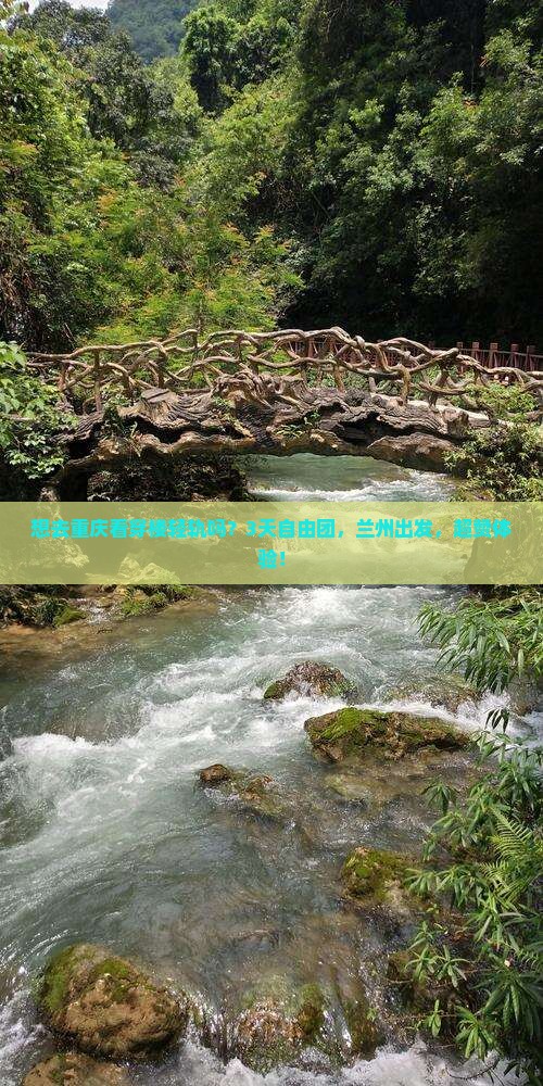 兰州去重庆李子坝轻轨站自由团