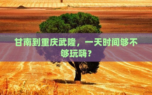 甘南去重庆武隆一日