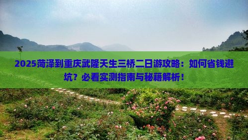 菏泽到重庆武隆天生三桥二日游