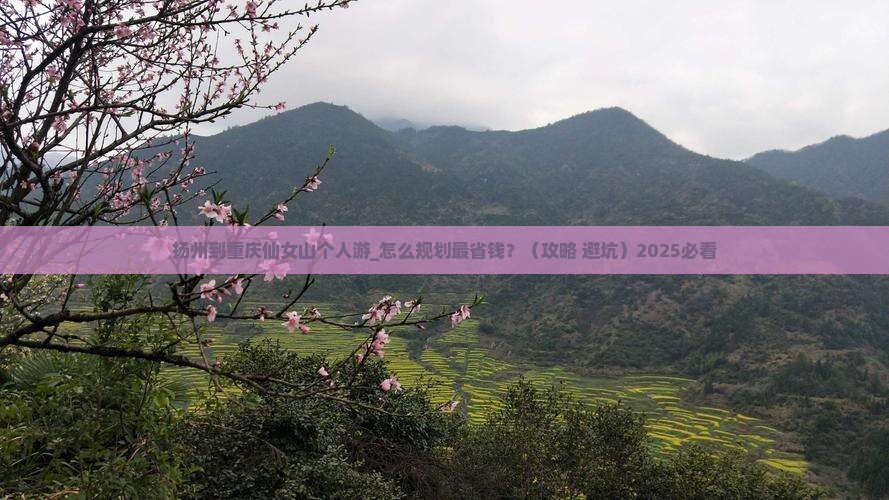 扬州到重庆仙女山个人游