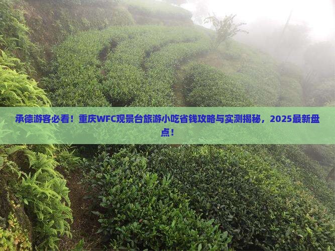 承德去重庆wfc观景台旅游小吃