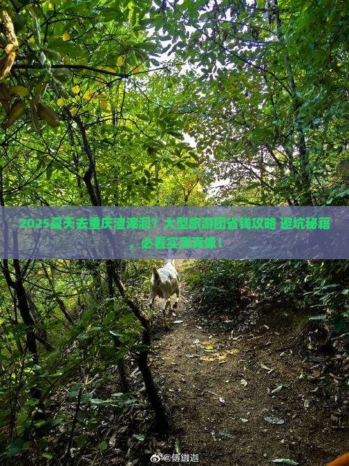 夏天去重庆渣滓洞大型旅游团
