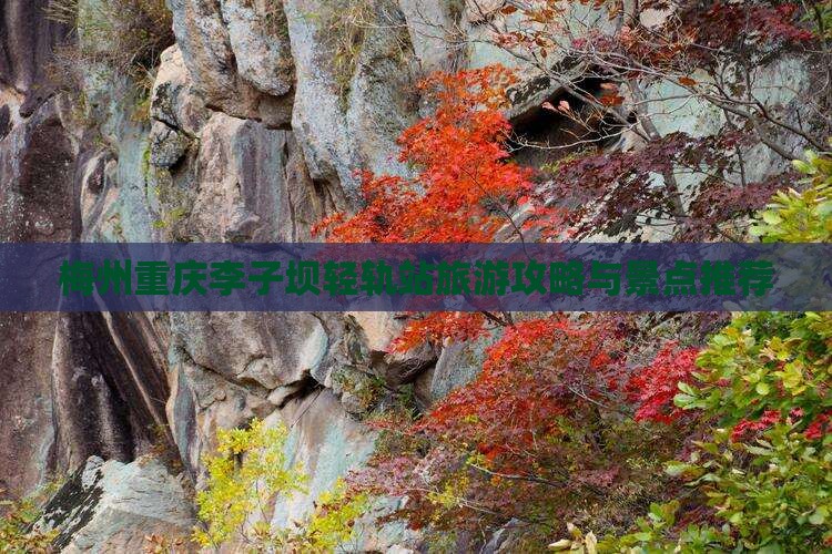 梅州去重庆李子坝轻轨站自由行