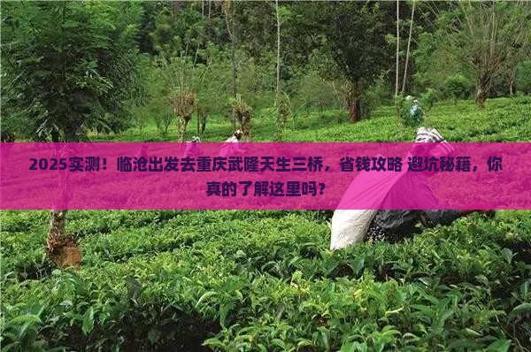临沧去重庆武隆天生三桥个人游