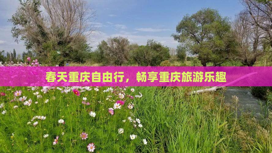 春天到重庆自由团