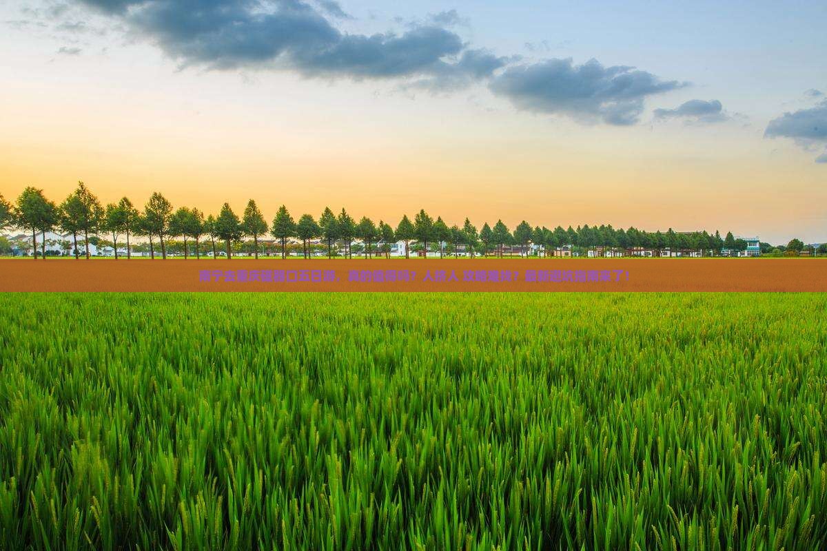 南宁去重庆磁器口五日游
