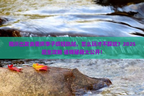 临沂到重庆李子坝轻轨站门票