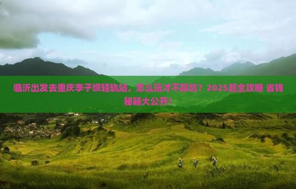 临沂到重庆李子坝轻轨站门票