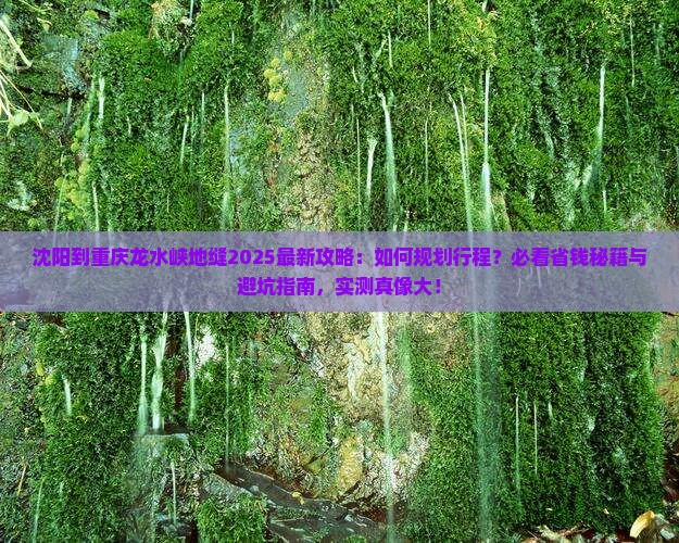 沈阳到重庆龙水峡地缝攻略