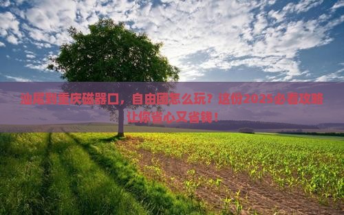 汕尾到重庆磁器口自由团