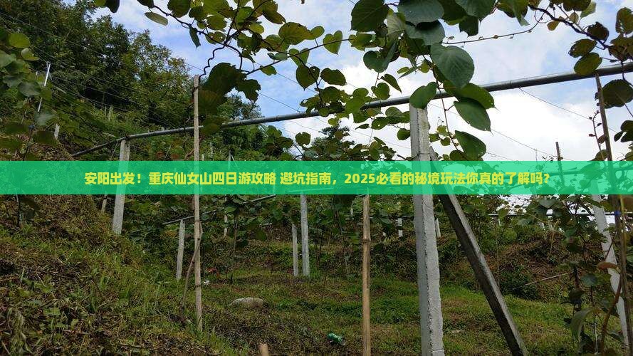 安阳到重庆仙女山四日游