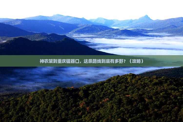 神农架到重庆磁器口景点