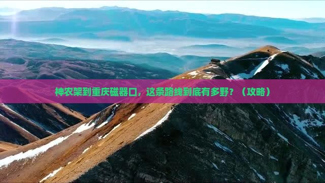 神农架到重庆磁器口景点