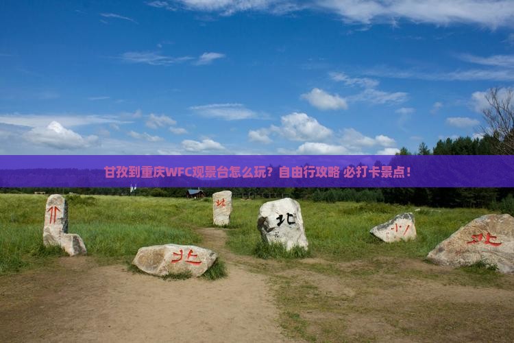 甘孜到重庆wfc观景台个人游