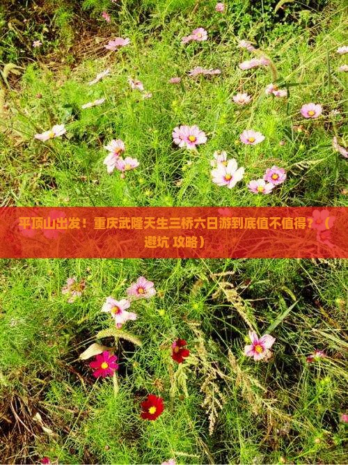 平顶山到重庆武隆天生三桥六日游