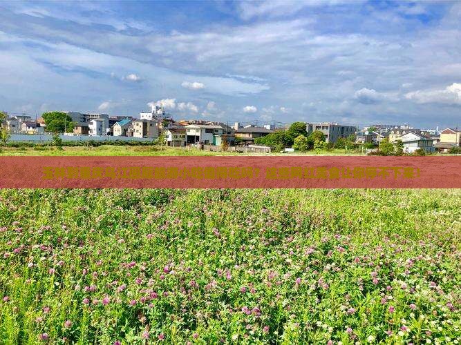玉林到重庆乌江画廊旅游小吃