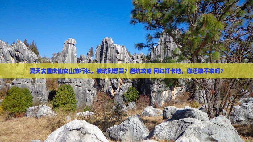 夏天去重庆仙女山旅行社