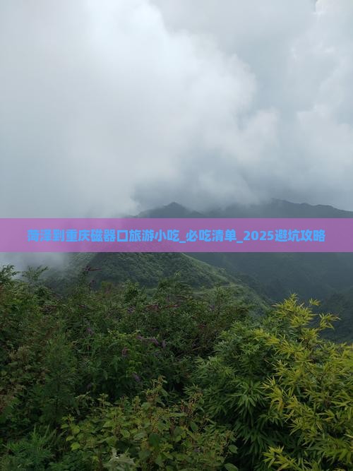 菏泽到重庆磁器口旅游小吃