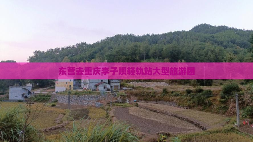 东营去重庆李子坝轻轨站大型旅游团