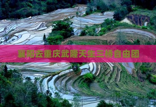 襄阳去重庆武隆天生三桥自由团