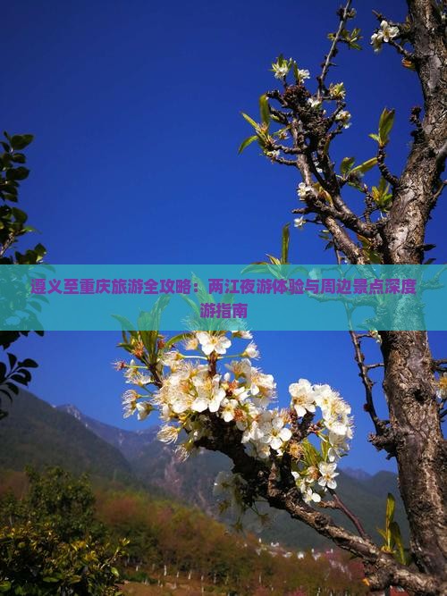 遵义至重庆旅游全攻略：两江夜游体验与周边景点深度游指南