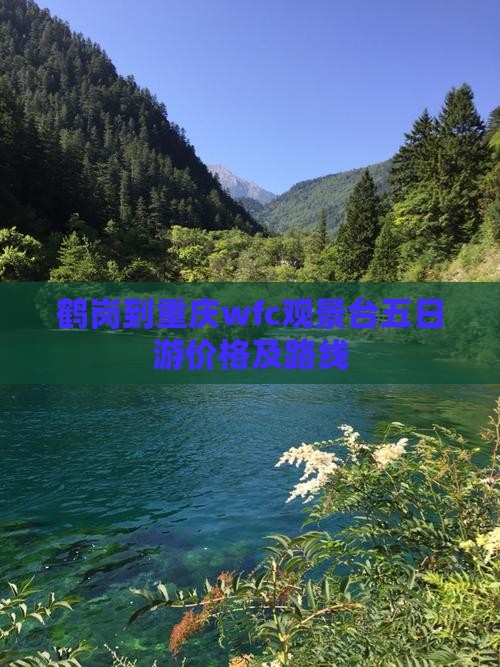 鹤岗到重庆wfc观景台五日游价格及路线