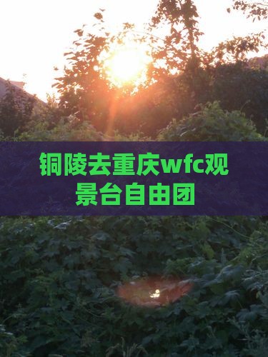 铜陵去重庆wfc观景台自由团