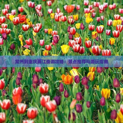 常州到重庆两江夜游攻略：景点推荐与游玩指南