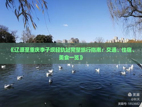 《辽源至重庆李子坝轻轨站完整旅行指南：交通、住宿、美食一览》