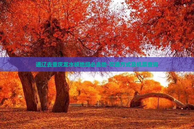 通辽去重庆龙水峡地缝必去地-交通方式及机票查询