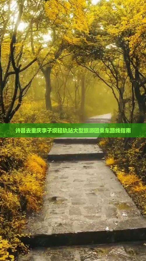 许昌去重庆李子坝轻轨站大型旅游团乘车路线指南