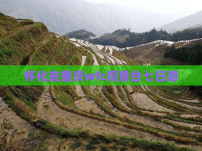 怀化去重庆wfc观景台七日游