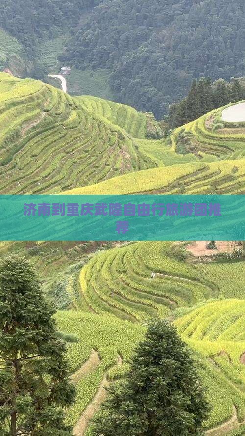 济南到重庆武隆自由行旅游团推荐
