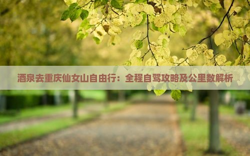 酒泉去重庆仙女山自由行：全程自驾攻略及公里数解析