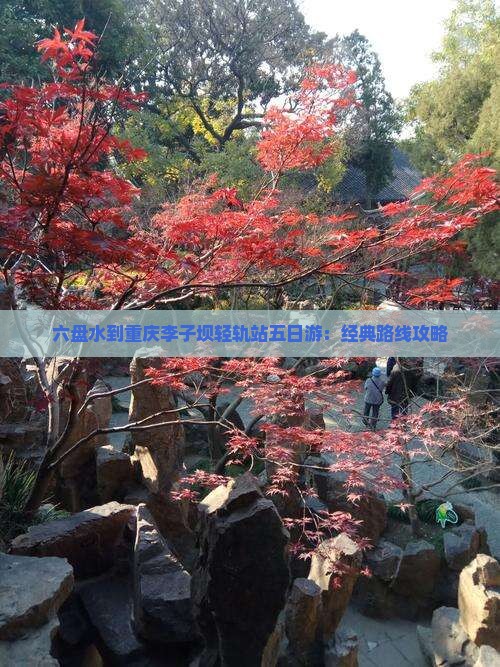 六盘水到重庆李子坝轻轨站五日游：经典路线攻略