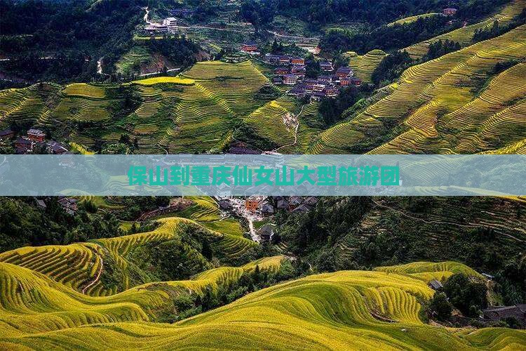 保山到重庆仙女山大型旅游团