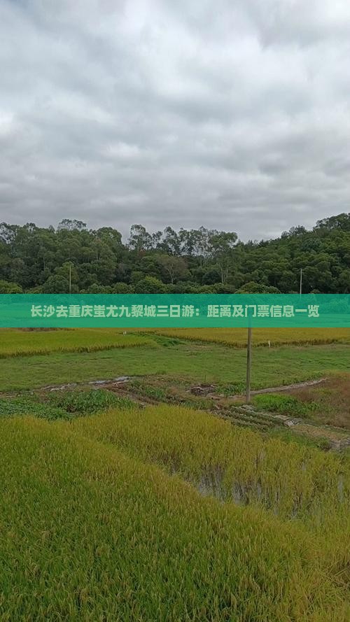 长沙去重庆蚩尤九黎城三日游：距离及门票信息一览