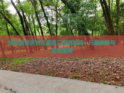 绥化到重庆长江索道二日游攻略：行程安排与景点推荐