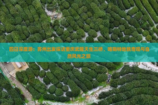 四日深度游：苏州出发探访重庆武隆天生三桥、喀斯特地貌奇观与自然风光之旅