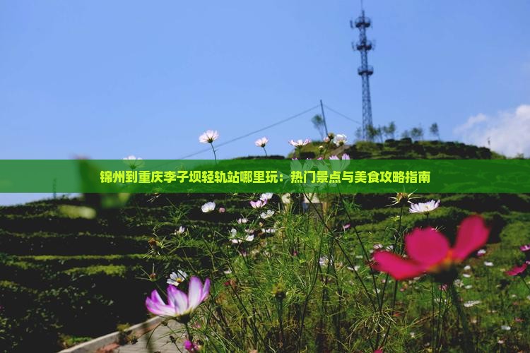 锦州到重庆李子坝轻轨站哪里玩：热门景点与美食攻略指南
