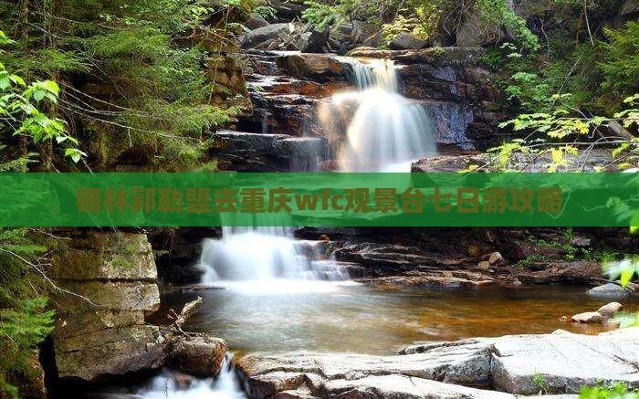 锡林郭勒盟去重庆wfc观景台七日游攻略