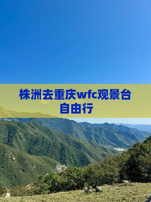 株洲去重庆wfc观景台自由行