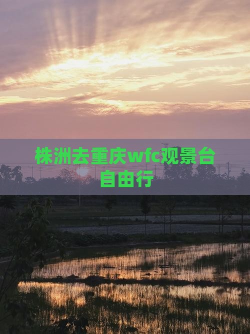 株洲去重庆wfc观景台自由行