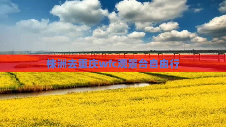 株洲去重庆wfc观景台自由行