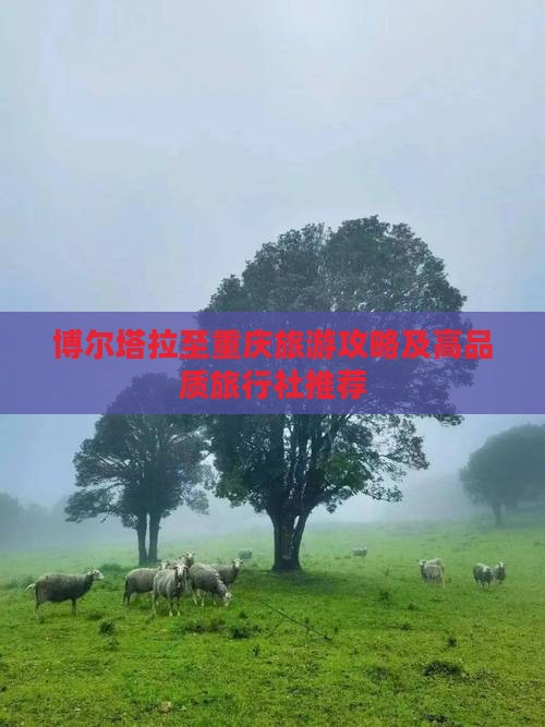 博尔塔拉至重庆旅游攻略及高品质旅行社推荐