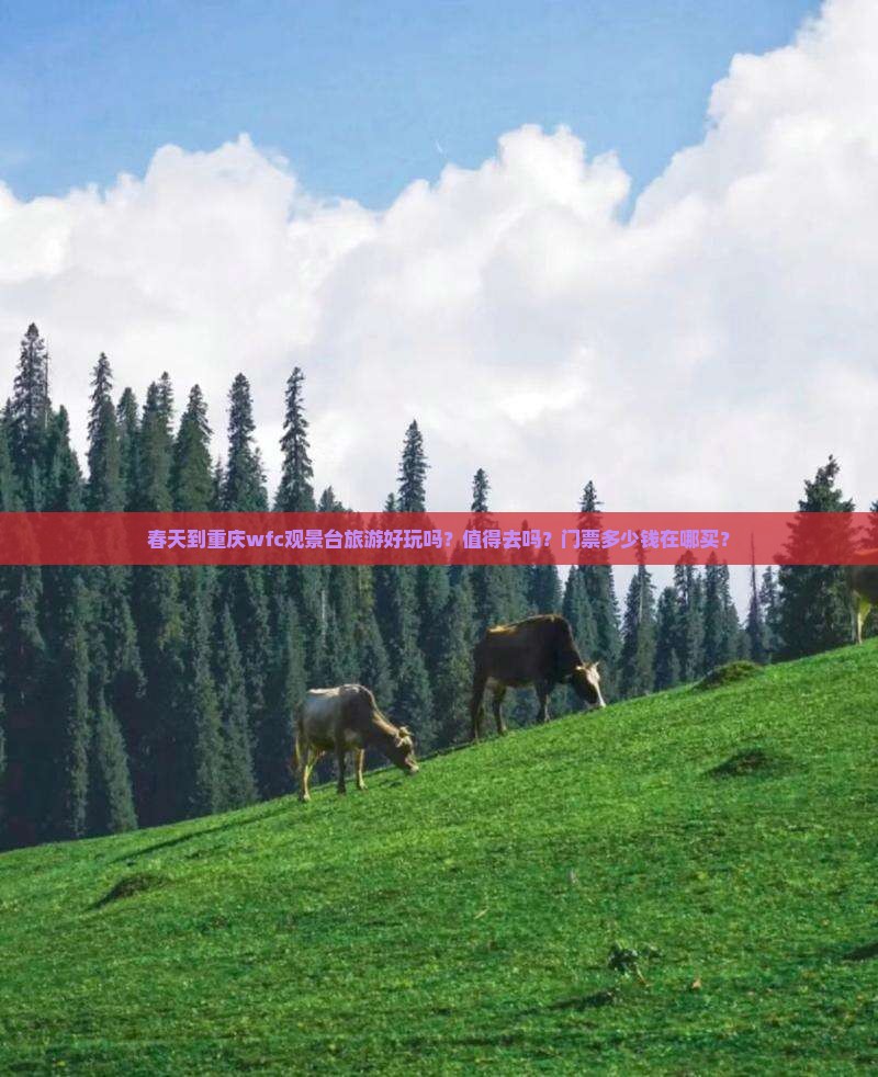 春天到重庆wfc观景台旅游好玩吗？值得去吗？门票多少钱在哪买？