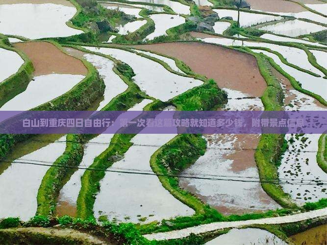 白山到重庆四日自由行：第一次看这篇攻略就知道多少钱，附带景点信息
