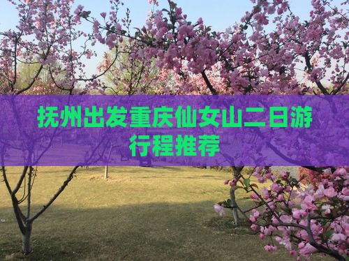抚州出发重庆仙女山二日游行程推荐
