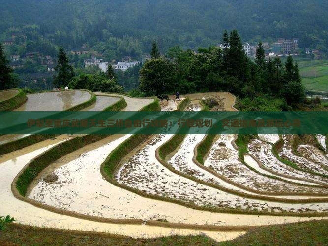 伊犁至重庆武隆天生三桥自由行攻略：行程规划、交通指南及游玩心得