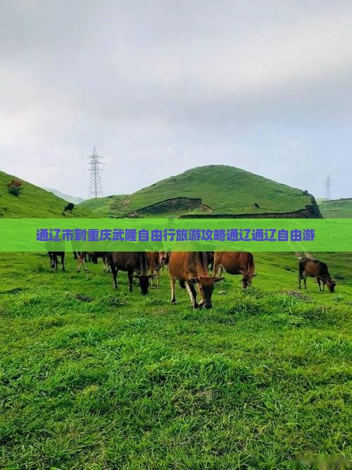 通辽市到重庆武隆自由行旅游攻略通辽通辽自由游